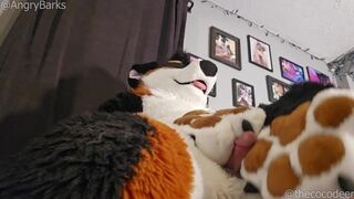 @AngryBarks plays with his step sister's paws, licks his cum off them #PawFetish #FootJob #CumShot